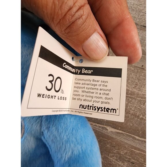 Nutrisystem Celebration Bears 20 & 30 Lbs Purple & Blue Plush Collectible - Picture 9 of 15